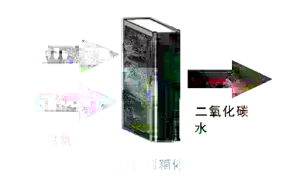 臭氧催化氧化装备