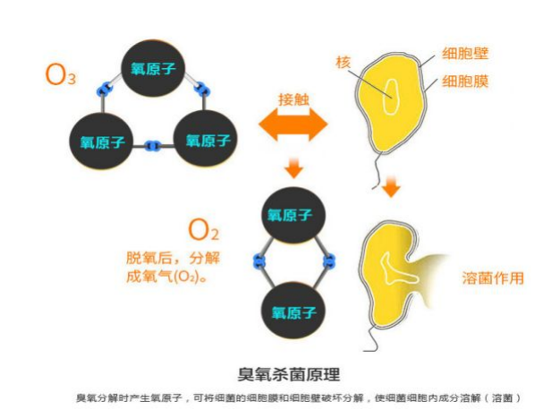 英国威廉希尔公司(williamhill)官方网站